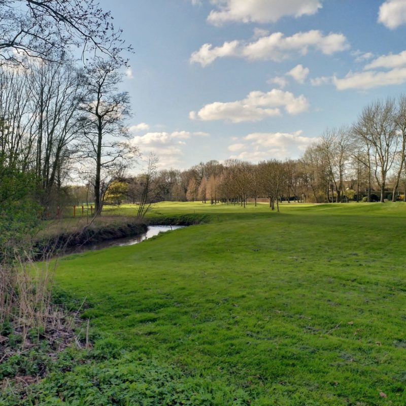 89998389 10156844159816820 7639388098089975808 o