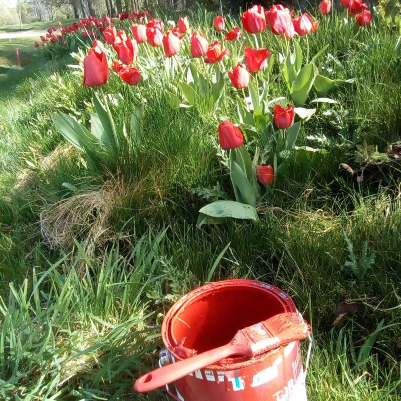 A197bbcf 87ee 4f51 be20 b01cc720fbaa